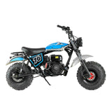 NEW ITEM!!! TrailMaster Hurricane 200 PRO