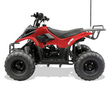 TrailMaster T110 110cc ATV