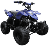 TrailMaster T110 110cc ATV